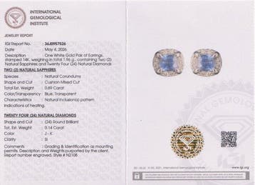 Sans prix de réserve - Boucles doreilles cloutées - 14