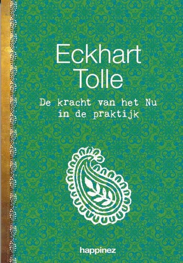 De kracht van het nu in de praktijk 9789020210699, Boeken, Verzenden, Nederlands, Zo goed als nieuw, Eckhart Tolle