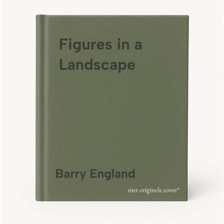 Figures in a Landscape 9781784875992 Barry England, Livres, Langue | Anglais, Envoi