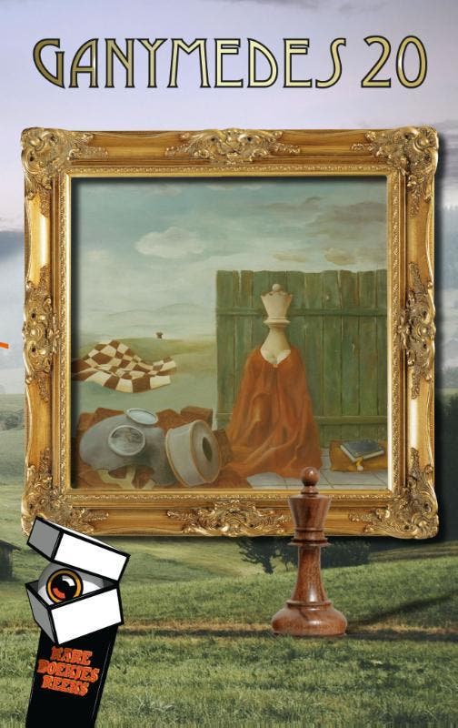 Ganymedes-20 / Rare Boekjes-reeks / 54 9789078499497, Livres, Littérature, Envoi