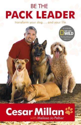 Be The Pack Leader 9780340976456 Cesar Millan, Verzenden, Gelezen, Cesar Millan