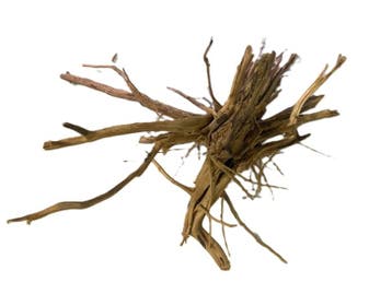 Driftwood Selected  DW44 - 40x20x30cm (Small drift wood), Ophalen of Verzenden, Nieuw, Plant(en), Steen of Hout