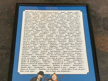 Tintin - Les 220 jurons du Capitaine Haddock - 1 poster -, Nieuw