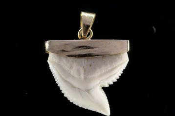 Pendentif en dent de requin tigre – dent de requin
