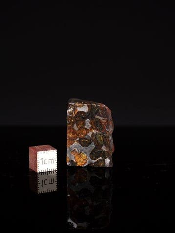 Météorite de Sericho Pallasites - 33 g - (1)