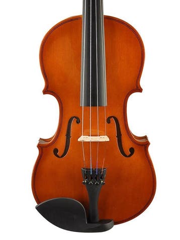 4/4 Viool Verrassend goed, Gratis online vioollessen+Boek, Muziek en Instrumenten, Nieuw, 4/4-viool, Viool, Met koffer