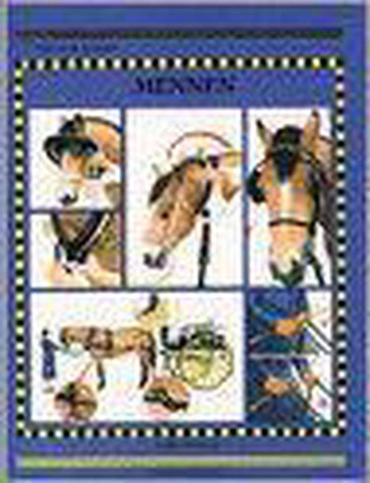 Mennen / Gids voor de jonge ruiter 9789038407876 S. Walrond, Boeken, Hobby en Vrije tijd, Gelezen, Verzenden