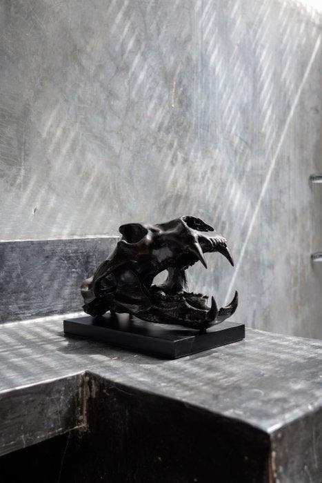 sculptuur, Heavy Scale 1:1 Polar Bear skull in finest bronze, Antiquités & Art, Art | Objets design
