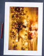 Bruno Sorlini - (4x) Venice, 1995