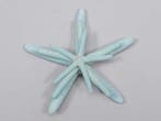 Zeester Starfish Blauw ca. 5-10 cm Set van 3 stuks, Nieuw