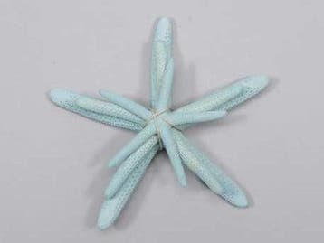 Zeester Starfish Blauw ca. 5-10 cm Set van 3 stuks, Nieuw