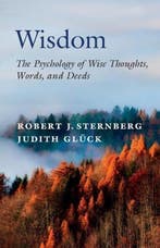 Wisdom 9781108841566 Robert J. Sternberg, Verzenden, Gelezen, Robert J. Sternberg