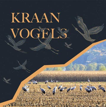 Kraanvogels | Ingrid Visser; Erik Gruys | Nieuw, Verzenden, Nieuw, Ingrid Visser; Erik Gruys