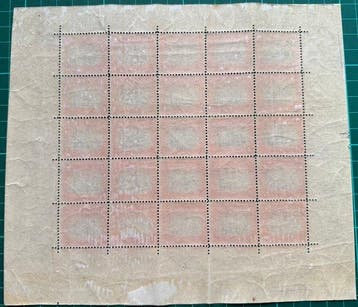 België 1920 - Stadhuis Dendermonde Velletje 25 Ex., Gestempeld
