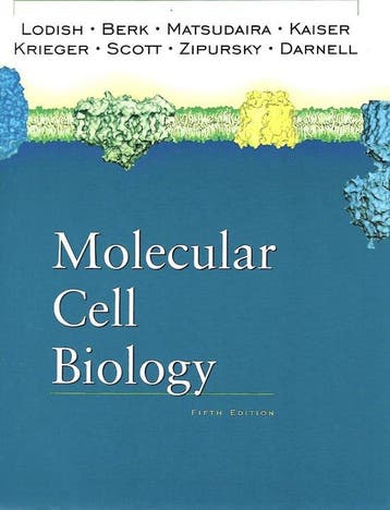 Molecular Cell Biology - Lodish, Boeken, Verzenden, Nieuw
