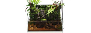 MIZUKUSA WALL 60, Dieren en Toebehoren, Vissen | Aquaria en Toebehoren, Verzenden, Nieuw