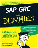 SAP GRC For Dummies 9780470333174 DV Broady, Verzenden, DV Broady