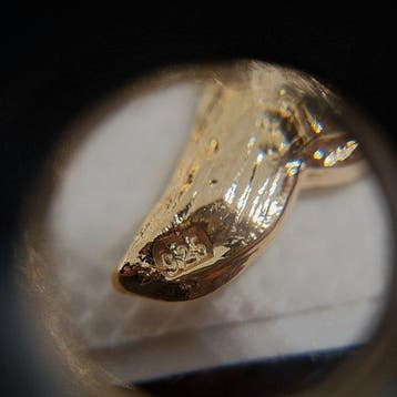 Argent 925. - Broche - Colibri., Nieuw
