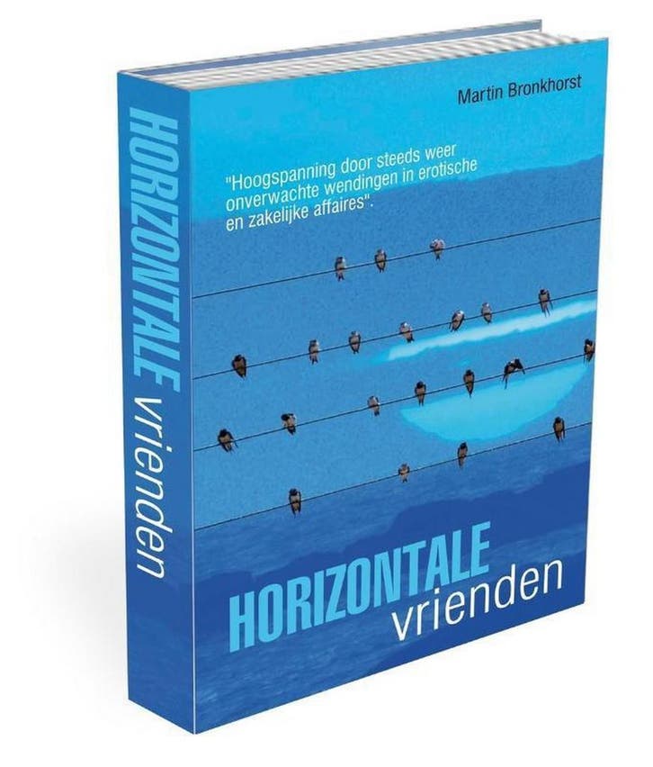 Horizontale vrienden 9789462280236 Martin Bronkhorst, Boeken, Thrillers, Zo goed als nieuw, Verzenden