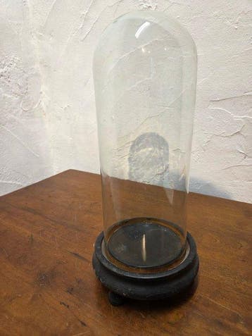 Globe - stolp - glas - 1901-1920 - Petite cloche antique