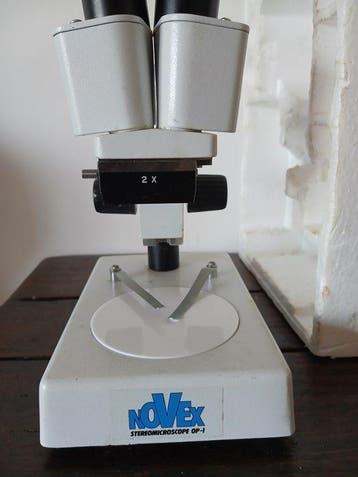 Simple microscope - Novex AP-1 - 1990-2000 - België