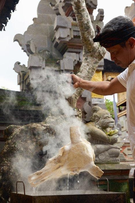 Sans prix de réserve - Magnifique grand crâne de taureau, Antiquités & Art, Art | Objets design