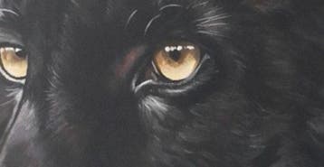 Donatella Ramazzotti - Black panther