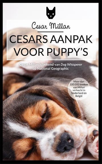 Cesars aanpak voor puppys 9789048831159 Cesar Millan, Verzenden, Gelezen, Cesar Millan