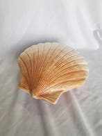 Michel Caugant - caugant - Tureen - Coquille Saint Jacques -
