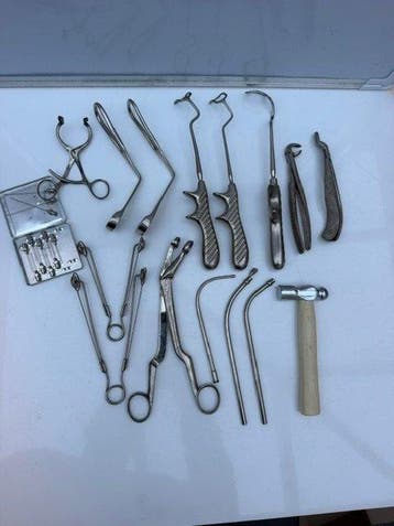 Anatomisch model - Chirurgisch roestvrij staal (RVS),