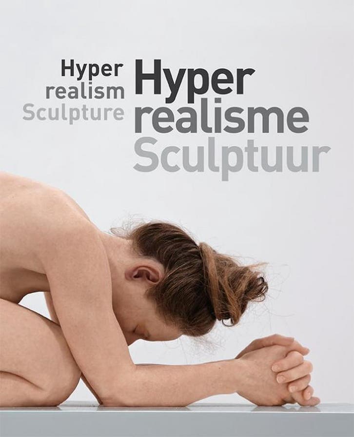 Hyperrealisme 9789462621817 Emily Ansenk, Livres, Art & Culture | Arts plastiques, Envoi