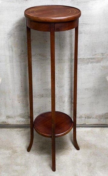 Antieke Engelse Edwardiaanse - Plantentafel - Mahonie,