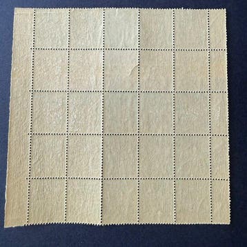 France - Yvert 102 Sage 5c vert bloc de 20 en neufs **