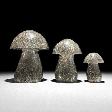 Bel ensemble de 3 pièces en forme de champignon Turritella., Antiquités & Art