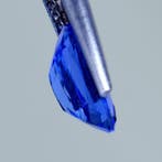 Bleu Tanzanite - 3.27 ct - International Gemological, Nieuw