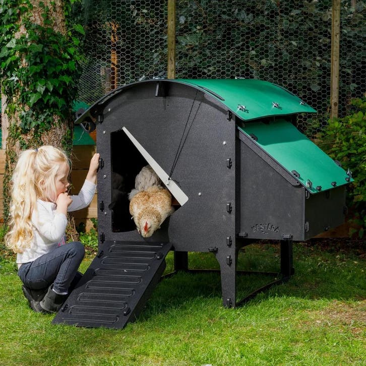 Nestera Lodge, Medium, Animaux & Accessoires, Volatiles | Accessoires