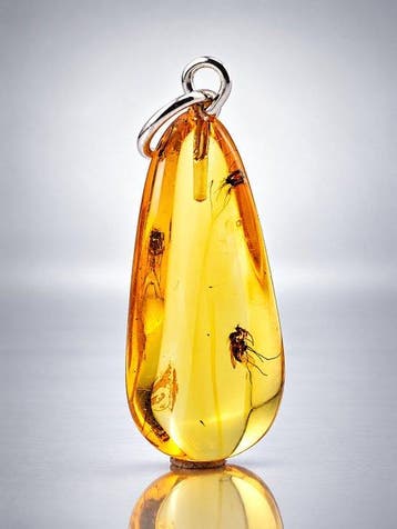 Museumkwaliteit Gouden barnsteenhanger – FLY-inclusie met