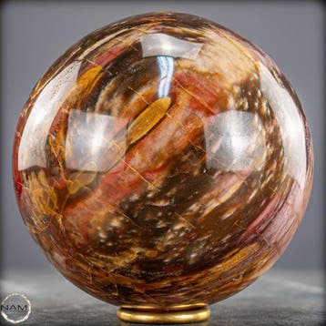 Natuurlijk versteend hout als bol – Intense houtnering in