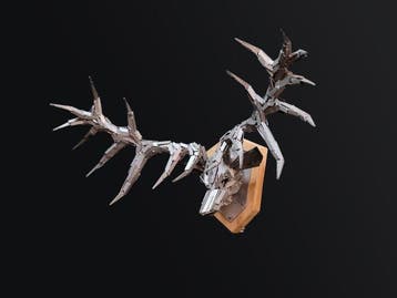 Gabor M Szoke - Trophy