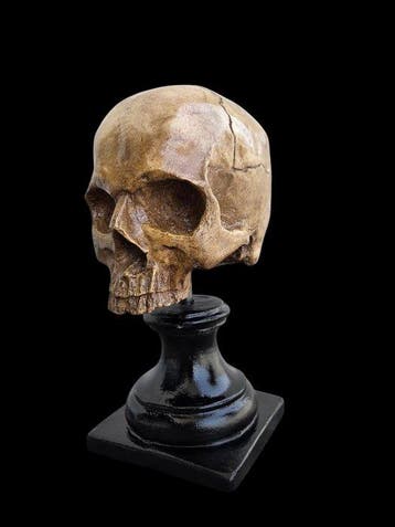 sculptuur, Memento mori - 25 cm - marmerpoeder