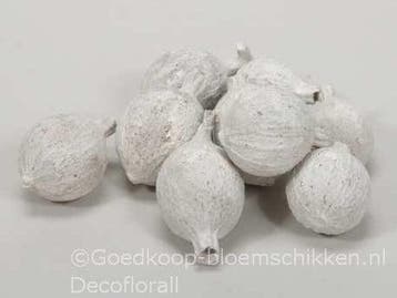 Cowri Fruit Noten White Wash 300 gram