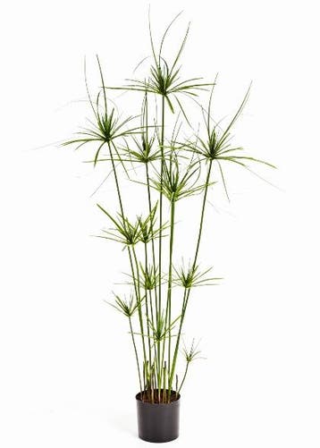Kunstplant Papyrus Deluxe 140 cm, Verzenden
