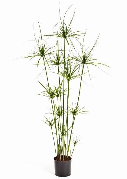 Kunstplant Papyrus Deluxe 140 cm, Huis en Inrichting, Kamerplanten, Verzenden