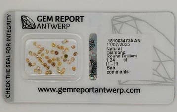 49 pcs Diamant (Couleur naturelle) - 1.05 ct - Rond - Fancy, Handtassen en Accessoires, Edelstenen, Nieuw