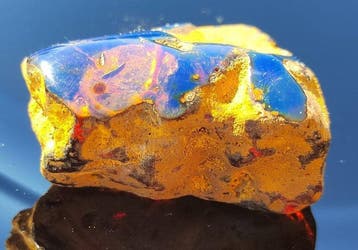 Blauwe Amber - Hoge Kwaliteit!- 25 g