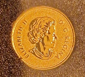 Canada. Elizabeth II. 25 Cent 2019 (Sans prix de réserve), Postzegels en Munten, Munten | Europa | Niet-Euromunten