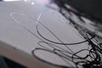 D. Witschkanow -  An abstract galaxy permeates the MIND -