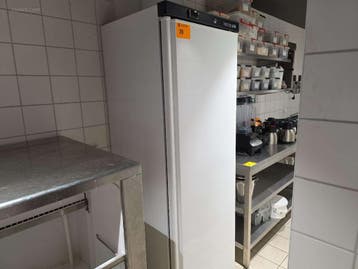 Diepvrieskast Tefcold UF400V