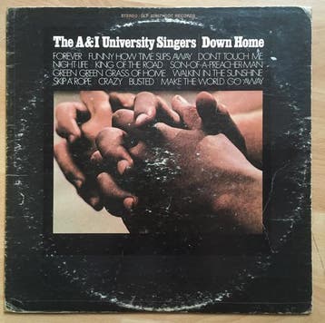 The A &amp; I University Singers - Down Home, Cd's en Dvd's, Verzenden, Gebruikt