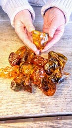 Amber - Barnsteen - Baltic Amber Lot - Polished - 4 cm - 3